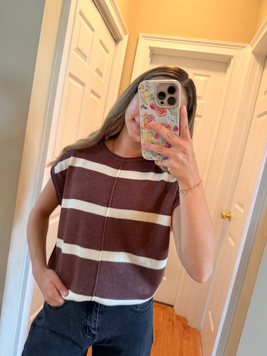 Mocha Striped Sweater Top